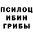 Псилоцибиновые грибы Cubensis Maks Sadovskyi