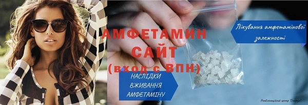 прущие грибы Пестово