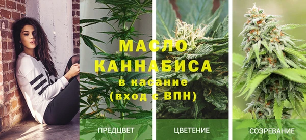 стаф Пересвет