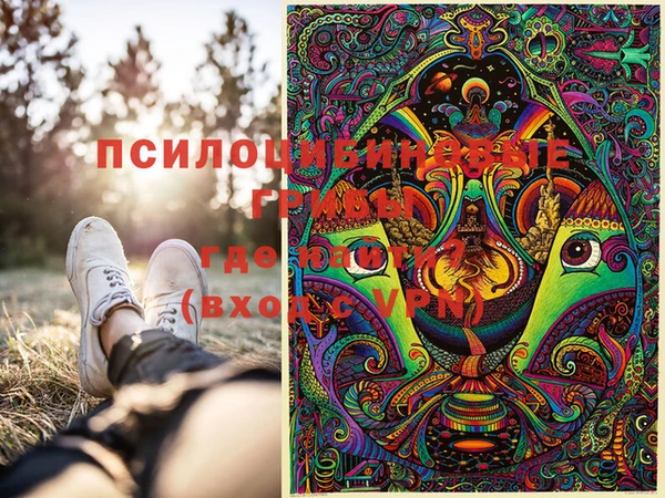 прущие грибы Пестово