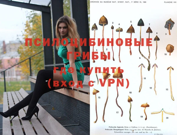 прущие грибы Пестово