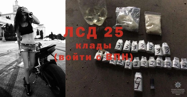 прущие грибы Пестово