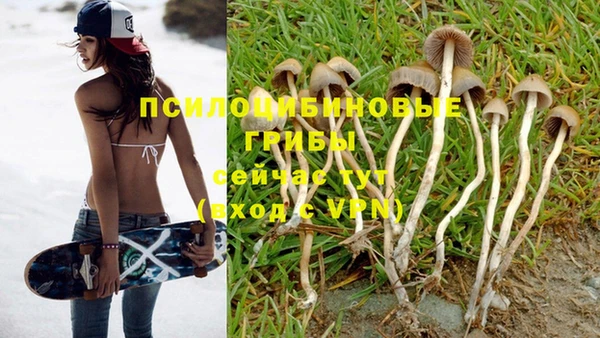 не бодяженный Осинники