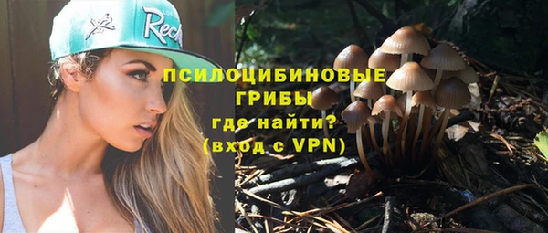 стаф Пересвет