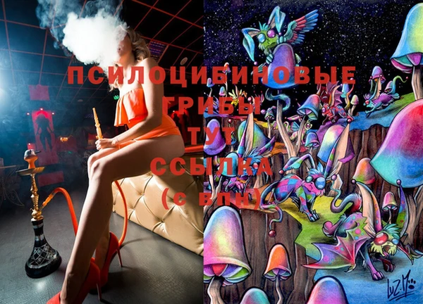 MESCALINE Переславль-Залесский