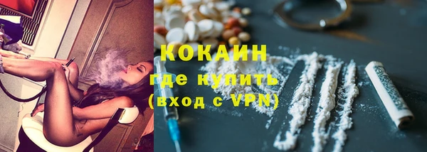 стаф Пересвет