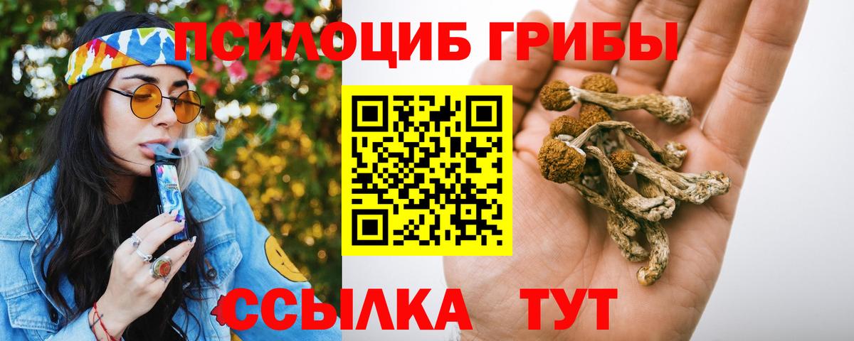 Псилоцибиновые грибы ЛСД Кохма